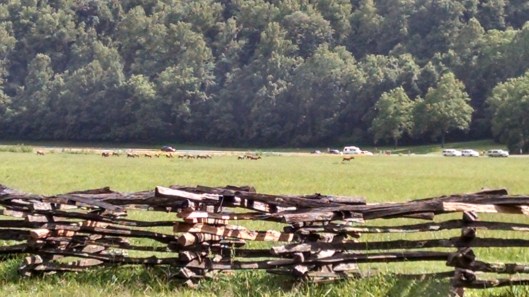 IMG_20170720_164546137_HDR